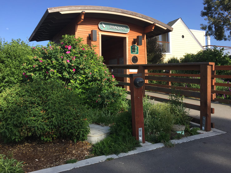 Jenny-Stein-Issaquah-weeds-gate-may-17