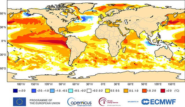 The 2026 El Niño: Scientific Theories