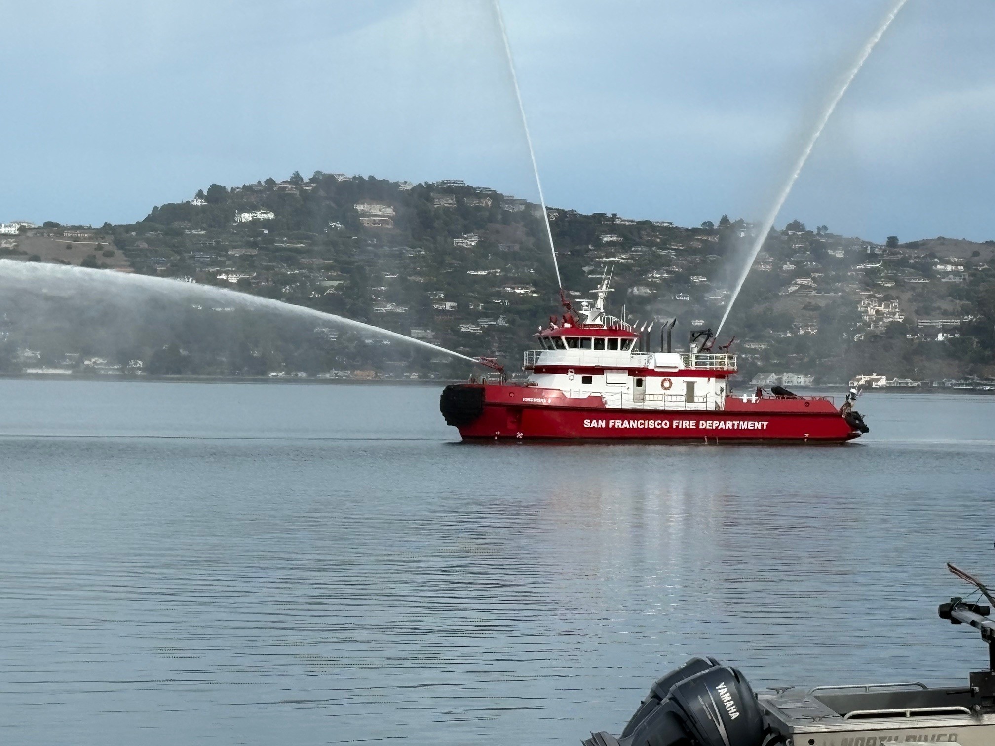 Working Waterfront Celebration Draws Crowds