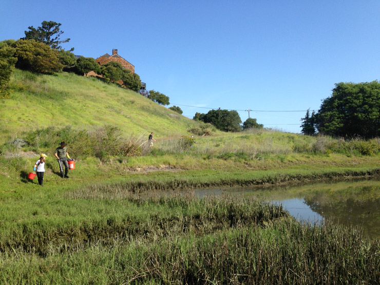 Jen-Gennari-Earth-Day-94965.2-April-2018