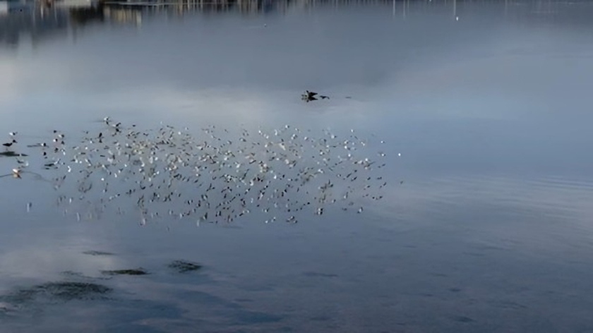 Board Meeting Notes — Feb 26