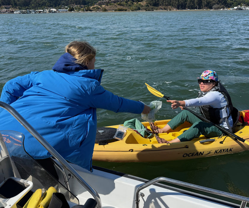 Bay Cleanup Shows Results