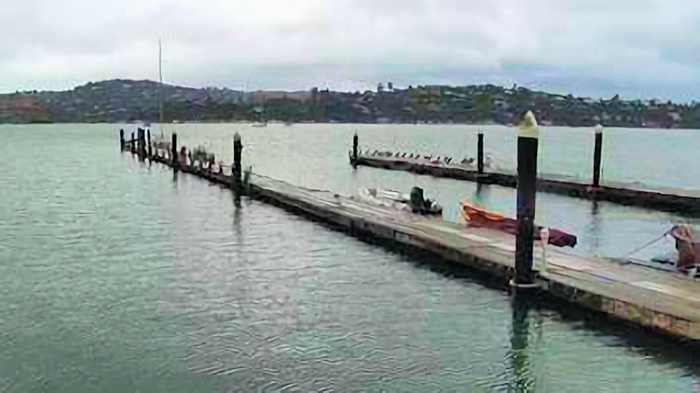 Tracking Sea Levels at Galilee Harbor
